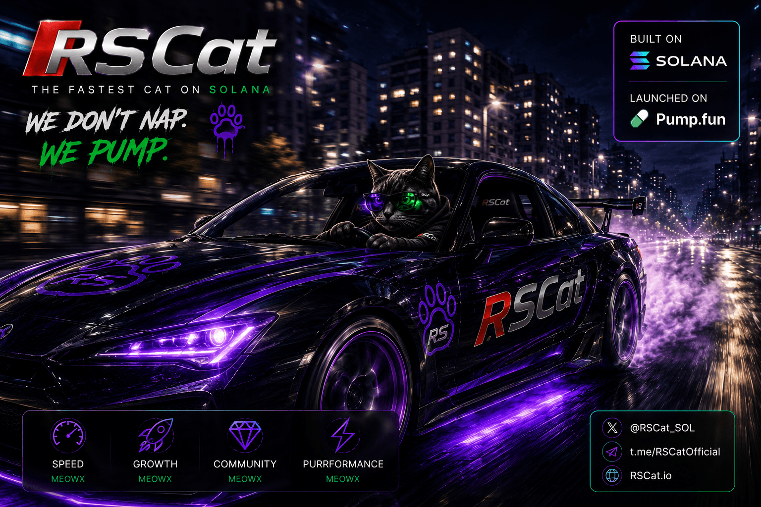 RSCat artwork 8