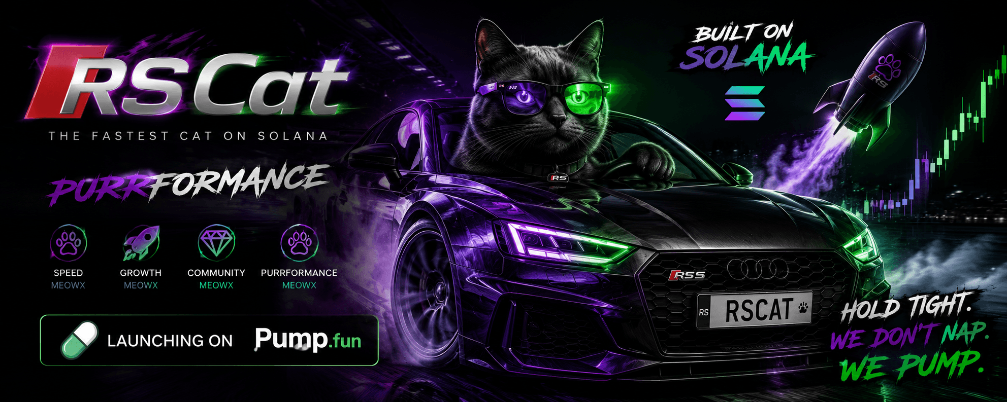 RSCat artwork 13